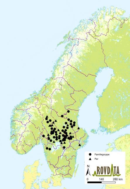 viktige individer Bestandsstatus i Skandinavia 2014 2015 Om lag 460 dyr (364 598) Om lag 33 35 heilnorske, 40 grensedyr 3 heilnorske flokkar, 5 grenseflokkar 2