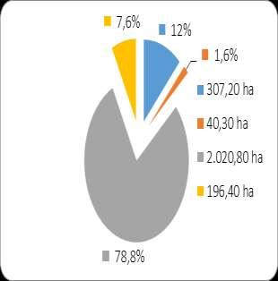 Stanje šuma po tipu gajenja Visoke šume... 307,20 ha ili 12,0% Šumske kulture... 40,30 ha ili 1,6% Izdanaĉke šume... 2.020,80 ha ili 78,8% Šikare.