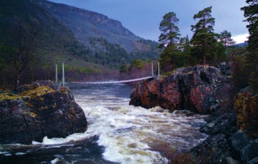 Dette var forløperen til det vi i dag kjenner som Fjelltjenesten, som nå er en egen avdeling innenfor Statskog SF.