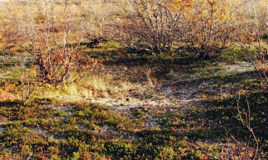 Området er vår- og høstbeiteland for reinflokker og mennesker på deres ferd mellom sommerbeitene ved kysten og vinterbeitene på innlandet ved Guovdageaidnu.