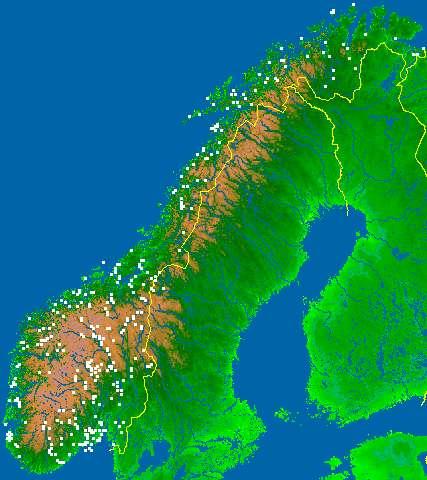 Lokaliteter hvor engvekster er