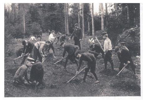 Ansvarsdeling for frø- og planteforsyning og skogkultur Meld. St.