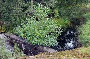 riksveien som krysser over innsjøen.