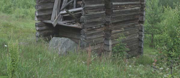 uthus i/nær tunet Drif tsbygn. tilkn. tunet Hus i utmark, seter Bygård Andre hustyper Eidskog totalt Det er stor forskjell på hvilke hustyper som er revet.