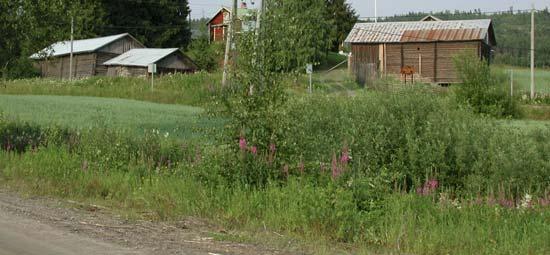 GAMLE HUS DA OG NÅ 7 Saksbehandling, planforhold m.m. 7.1 Bruk av SEFRAK-materialet i kommunen Saksbehandlerne i Eidskog kommune har tilgang på SEFRAK-registeret digitalt gjennom GAB.