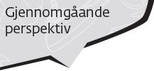 Gjennomgåande perspektiv i Fylkesplan «Dei gjennomgåande perspektiva er nasjonalt prioriterte samfunnsomsyn som fylkeskommunen og kommunane og statsetatane skal vurdere i alle planar og tiltak.