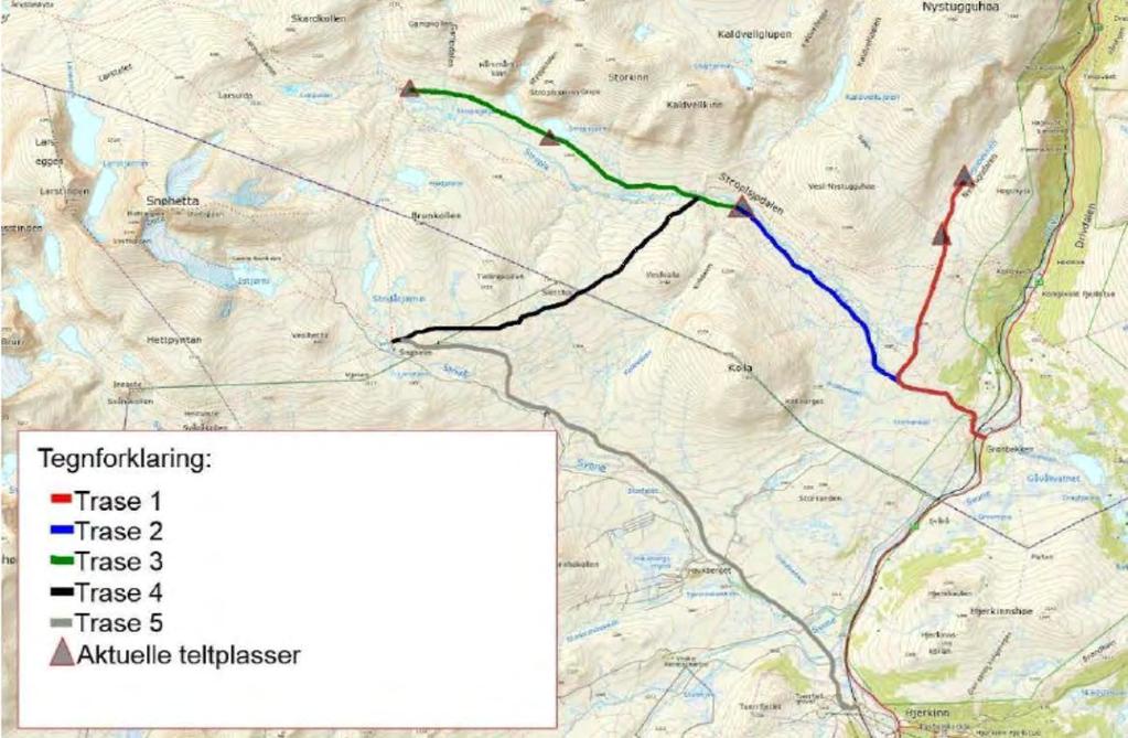 4. Nasjonalparkstyret gjør eventuelle andre som ønsker å drive moskusguiding med hundespann oppmerksom på at overstående også vil gjelde dem.