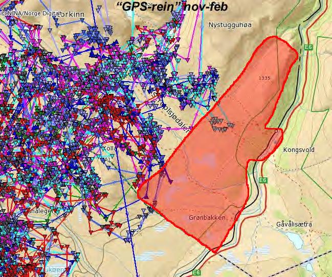 med økt bruk av Stroplsjødalen om vinteren uten å øke konfliktnivået i forhold til villrein. SNO peker på Høgsnyta som eneste område der omsøkte aktiviteter kan skje uten store konflikter med reinen.