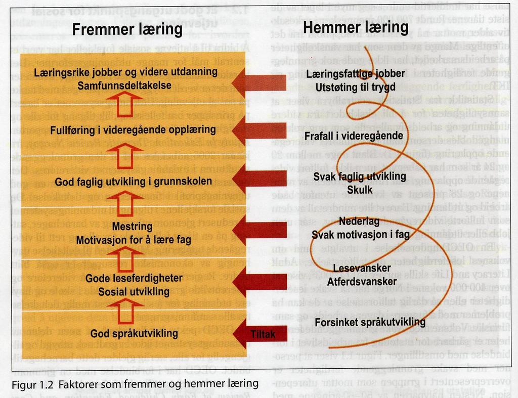 Hva slags læring? Hva med den sosiale og emosjonelle utviklingen?