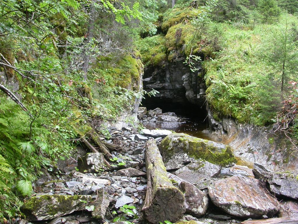 Figur 9: Lokalitet med råtetvebladmose i Litleelva i Steinkjer. Foto: Kristian Hassel 2007 Habitat Råtetvebladmose er som nevnt stort sett påvist langs større bekker og mindre elver.