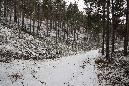 Grusførekomsten som blir utvinna og som det planleggjast uttak frå er ei avsetning som ligg som ein rygg (esker) parallelt med elva Otta.