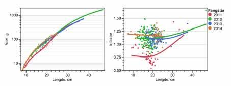Figur 9. Vekt og kondisjonsfaktor (k-faktor) som funksjon av fiskelengde for ørret fra Ringedalsvatn fanget 20