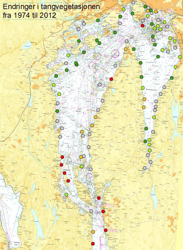 Registreringene ble foretatt på 123 stasjoner fra innerst i Bunnefjorden til 3-4 km syd for Drøbak.