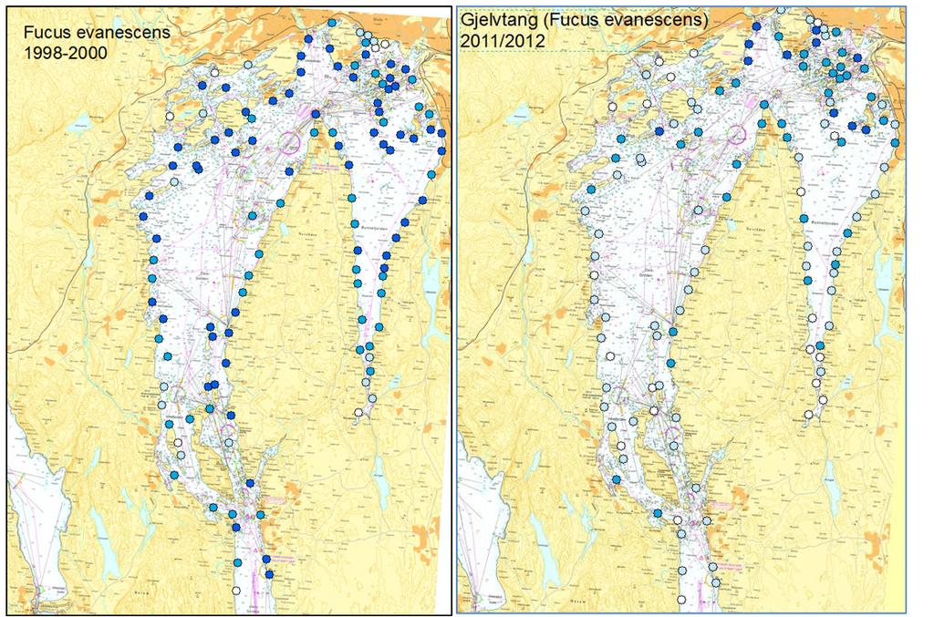 Undersøkelsen ble gjennomført med samme omfang og metodikk som tilsvarende undersøkelser i 1974-198, 1988-199, 1998-2.