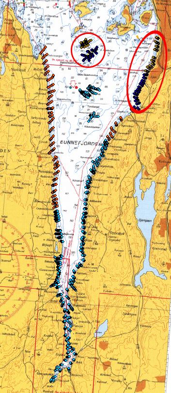 I 212 fortsatte registreringen av Bunnefjorden ut til Smedvika i øst og rundt Skjærholmene (Figur 35).