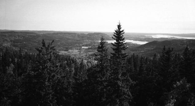 Maridalen fra Mellomkollen. Foto: Tor Øystein Olsen, 1992 Post 2: Granskog Vi befinner oss nå i Oslo kommunes skog.