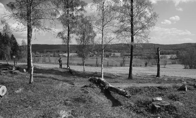 Post 22: Kulturlandskapet og gamle driftsformer Området du nå ser utover, er gammel beitemark.