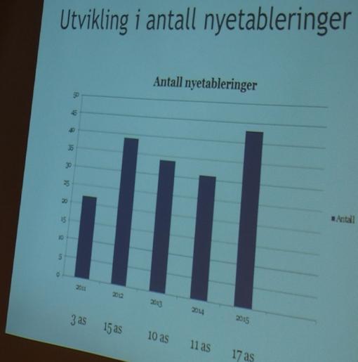 Totalt nesten 600 bedrifter, ca 1600 arbeidsplasser, fordelt med ca 60% i det private og ca 40% i det offentlige.