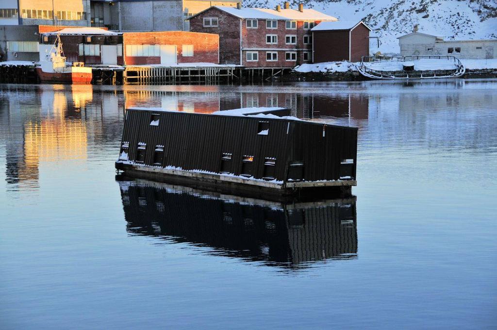 Det er blant annet satt i gang en større BBC produksjon som skal vises på britisk fjernsyn i 2017. I tillegg har NRK en stor satsing der de skal filme hekkesesongen på Hornøya fuglefjell.