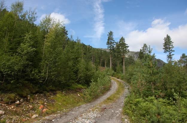 Tilkomsten skjer imidlertid via Maureland i Uppstaddalen i sør, hvor terrenget er lettere å ta seg fram i. Brukere er både fastboende, lokale hytteeiere og tilreisende utenfra.