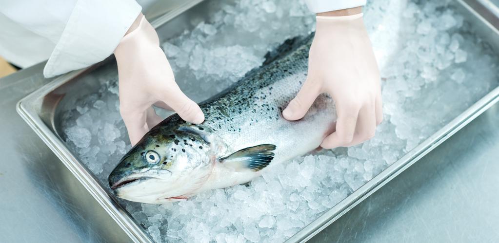 HYGIENE I FISKEINDUSTRIEN 7 4 Hygiene i fiskeindustrien Mål Dette kurset bidrar til at medarbeiderne får en økt forståelse for viktigheten av god hygiene i sin arbeidshverdag.