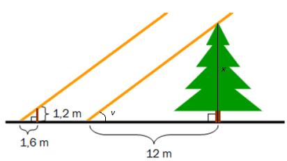 Oppgave 5 a) La x være høyden til treet i meter.