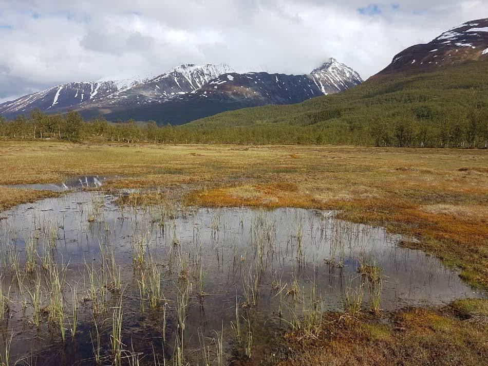 7.10 Drikkevannsforsyning og kildemyr Langs begge sider av Nordbotndalen er det kildeutspring.