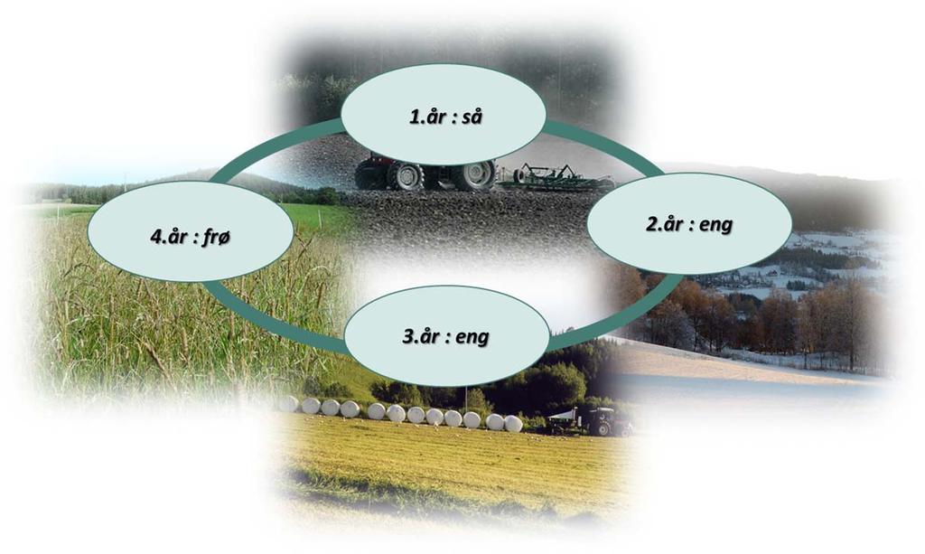 2 METODE Ein metode som passar svært godt for å ta vare på landsortar er det som på engelsk blir kalla onfarm conservation og som har fått den norske nemninga Bevaring ved bruk.