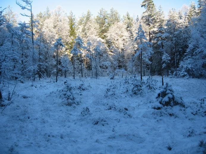 sett fra sør mot nord-øst.