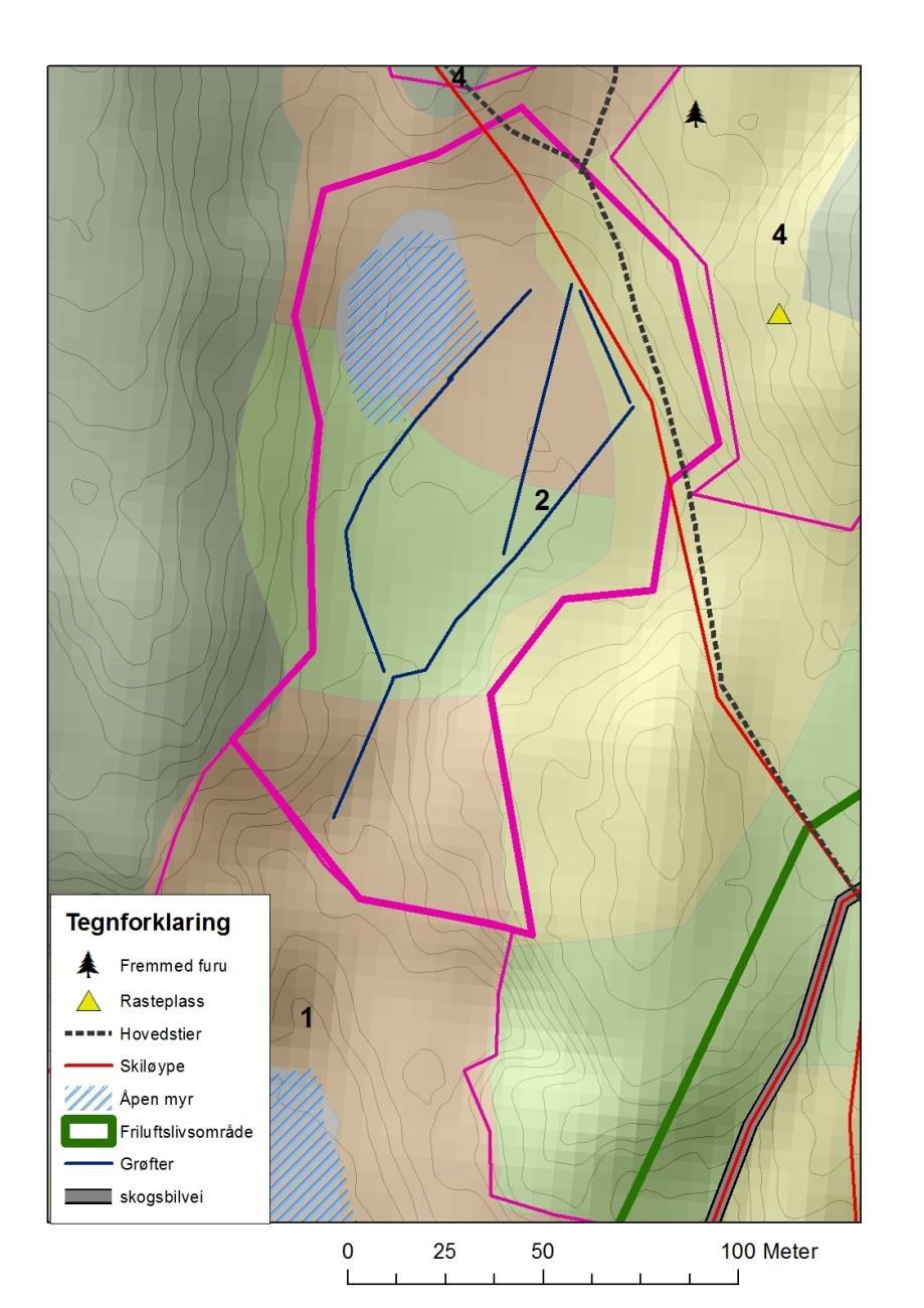 Oversikt over hvor det kan være aktuelt å demme opp grøftene. Det er særlig viktig å demme grøftene der flere grøfter møtes.