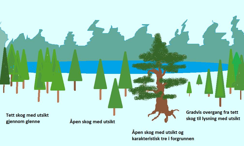 Det er viktig å åpne opp i det tette treoppslag langs stier for å få bedre sikt inn i den mer åpne