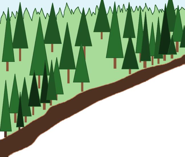 Lysninger i skogen er viktig for å skape romfølelse.