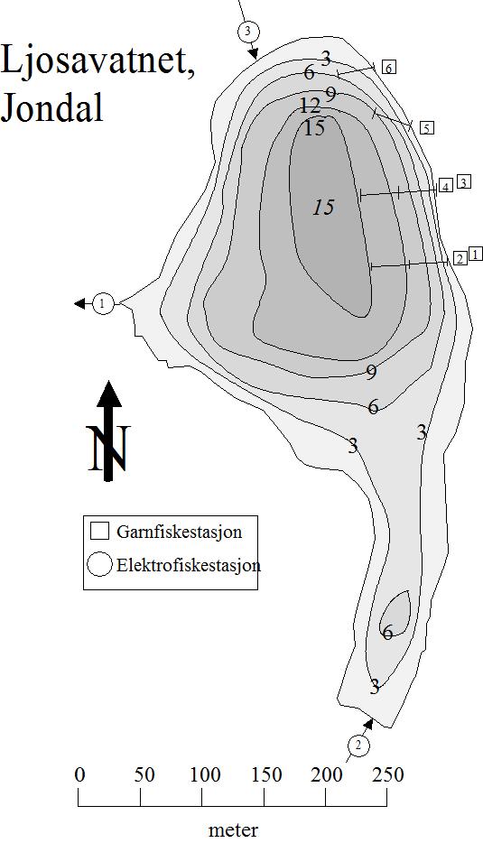 1 LJOSAVATNET I JONDAL INNSJØEN Ljosavatnet (LM 421 752, 1215-2), ligger i Årvikvassdraget i Jondal kommune, 55 moh. Innsjøen har et areal på 7 ha.