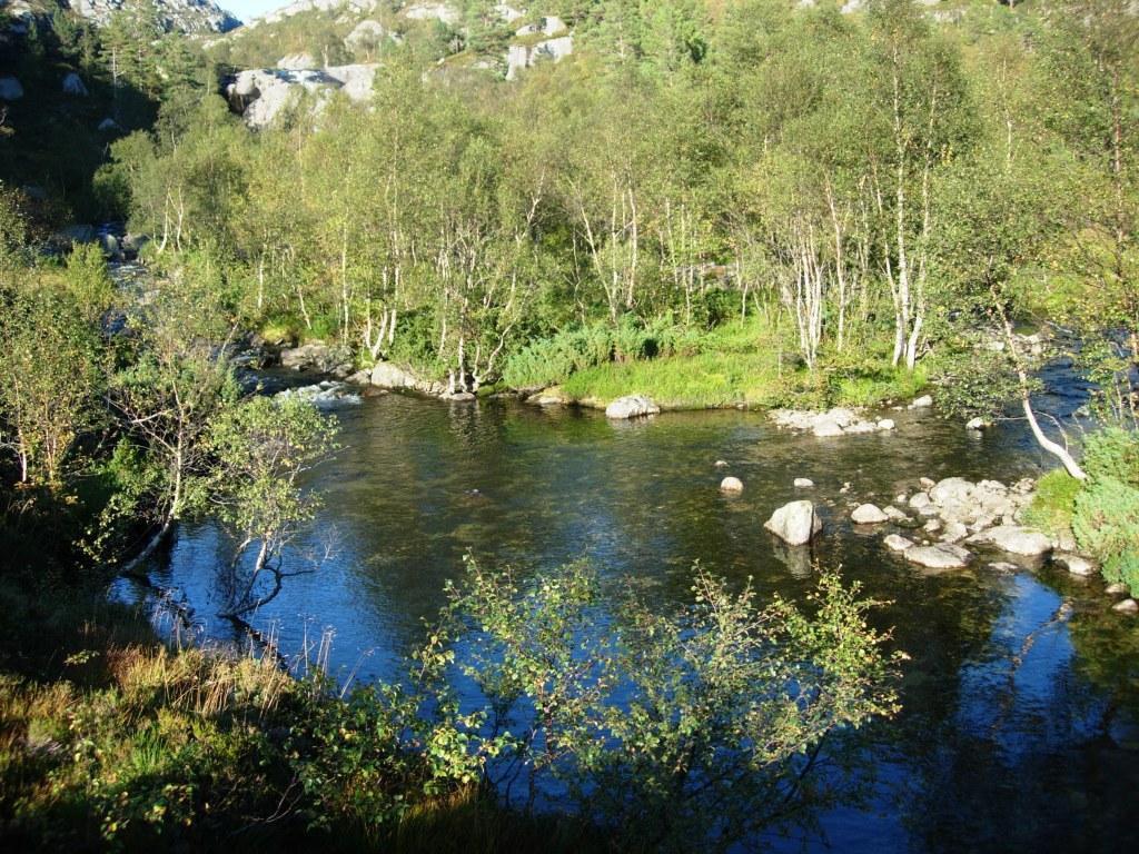 Innløpselv (3) (LM 432 76) fra Svartavatnet har et bunnsubstrat sammensatt av sand, grus, småstein og større stein delvis dekket av mose (figur 1.5).