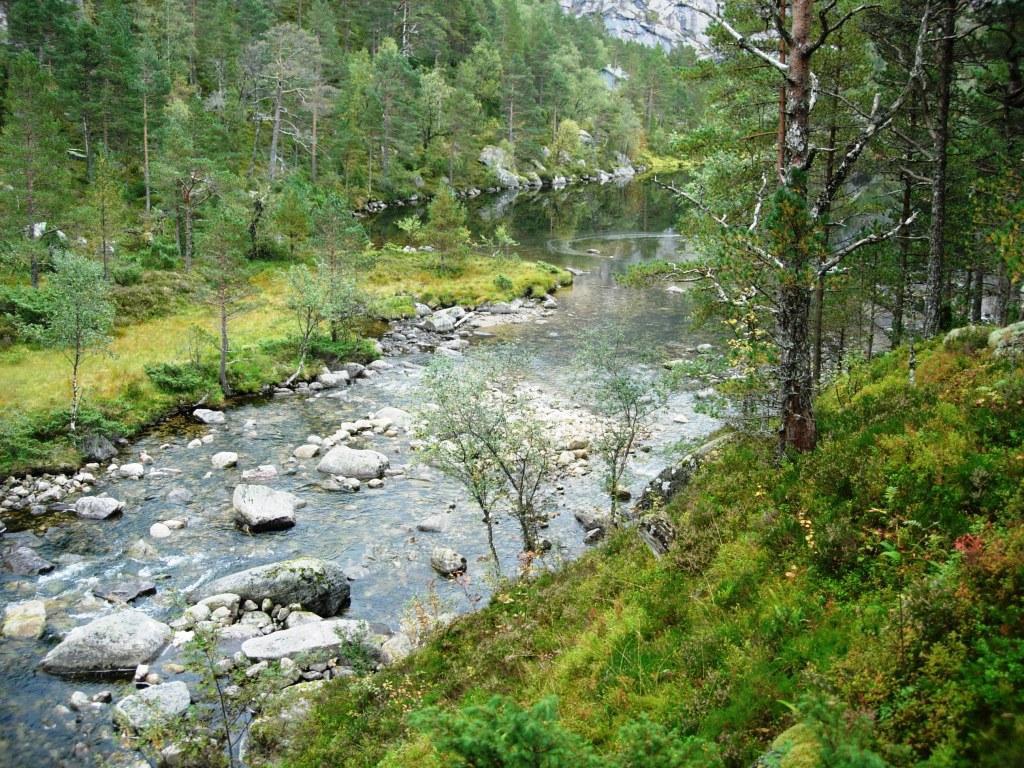 I innløpselv (2) (LM 426 752) fra Movatnet var det middels høy vannføring den 14. september 29. Bunnsubstratet er en blanding av sand, grus, småstein og større stein.