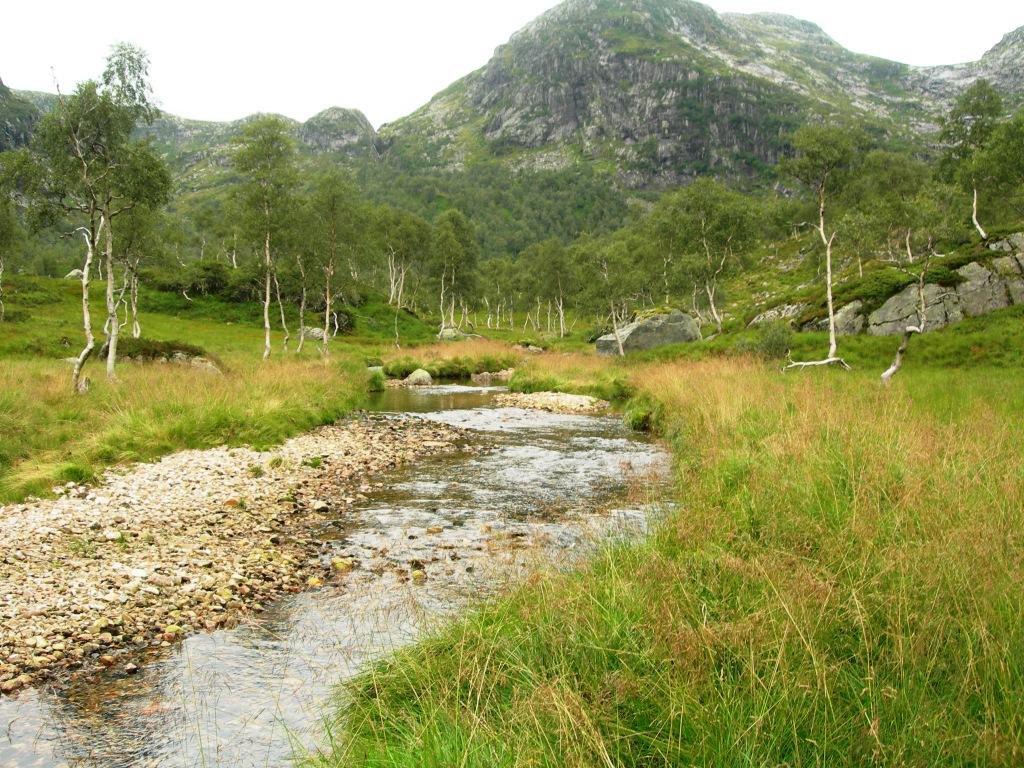 I innløpsbekk (3) (LN 185 466) er bunnsubstratet dominert av grus og småstein, elvebunnen er relativt steril, men med noe overhengende torv og vegetasjon langs breddene.