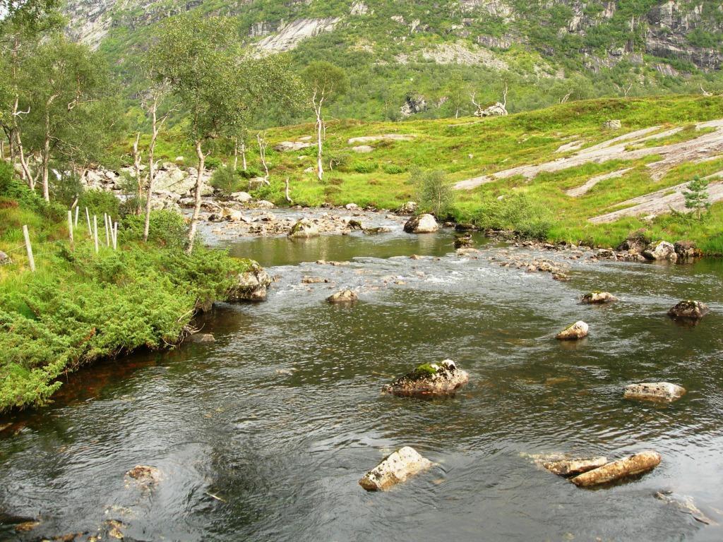 Elektrofiske Utløpsbekken (1) (LN 175 457) har et bunnsubstratet dominert av stor stein og fjell, og kun svært små områder er mulige gyteområder litt inn i innsjøen.