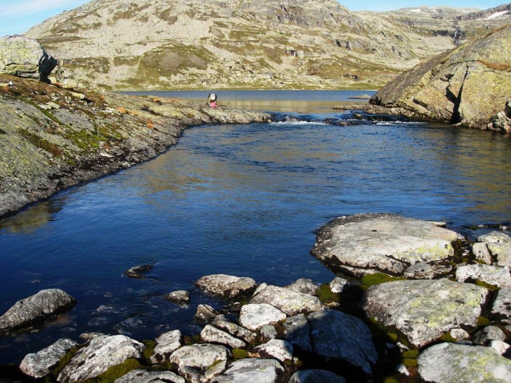 Totalt ble et areal på 6 m² i elven og 2 m² i strandsonen i tilknytning til utløpet elektrofisket, uten at det ble fanget eller observert fisk.