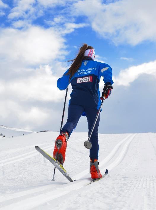 Oppsummering: I følge Meteorologiske institutt har det vært 50 skidager i Nordmarka i vinter mot normalt 130., målt på Bjørnholt. Kun fem vintre har hatt færre skidager (1989,90,92,98 og 2005).