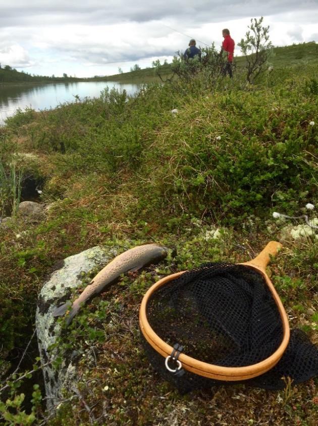 DELTAKELSE PÅ KONFERANSER Sekretariatet deltar gjennom året på en rekke konferanser som gir innspill på tema vi arbeider med og som bidrar til tettere kontakt med våre samarbeidspartnere.