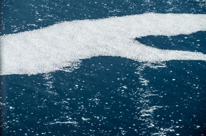 Iskanten eller iskantsonen er overgangen mellom tett drivis og åpent hav. Denne overgangssonen kan variere i bredde fra noen hundre meter til ca 100 kilometer.