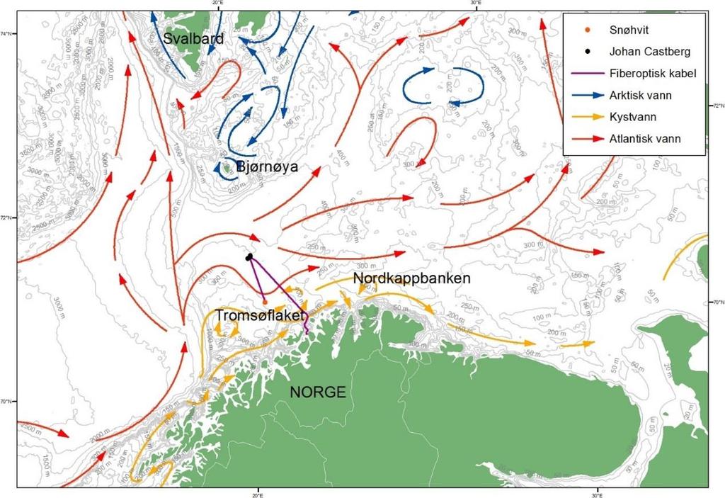 Figur 5-8 Dominerende strømforhold i Barentshavet Kilde : Proactima/7/ Det kan forekomme relativt kraftige strømmer med ekstremverdi (100-års returperiode) på 138 cm/s i overflaten og 52 cm/s ved