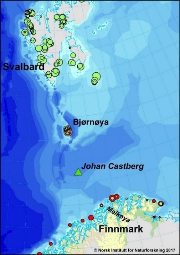 000 (svart) hekkende sjøfugl, Til Høyre hekkekolonier med lomvi (rødt) og polarlomvi (grønt) i norske deler av Barentshavet.