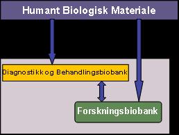 Figur 3.2 Forholdet mellom diagnostikk- og behandlingsbiobank og forskningsbiobank 3.