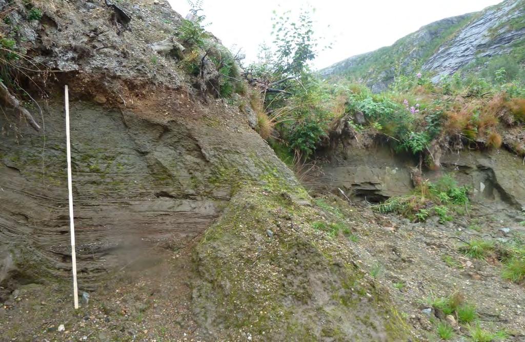 5.3.1 Løsmassefordeling og landformer Løsmassene i dalføre varierer, men domineres av morenemaeriale, breelvavseninger og av havog fjordavseninger (igur 14).