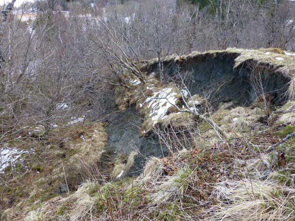 glidningen kan henges sammen med elesmeling om våren og er muligens en ilbakevendende prosess.