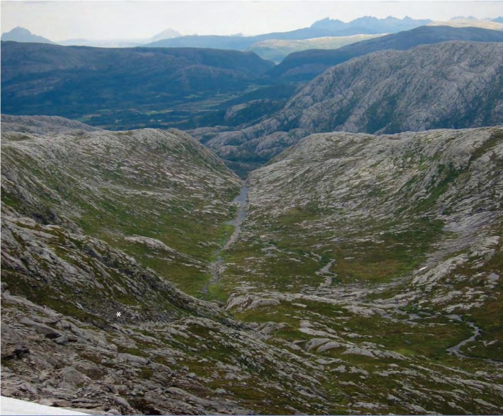 9. JLLOÅD, en samle oversik (edlegg 1-5) jellområdene rund Leirfjorden preges av bar og humusdekke fjell med sprede forekomser av morenemaeriale og lokale skredavseninger ved brae fjellskråninger