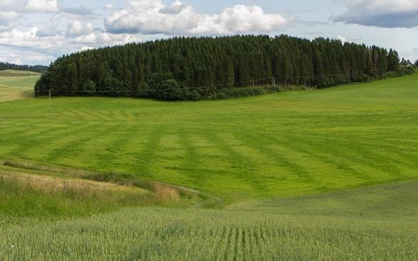 Manglende grøfting Sen opptørking, utsatt