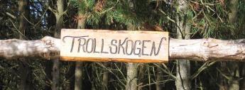 Velkommen til sosial dag i Trollskogen på Hundvåg Søndag 11. juni 2017, klokken 13.00 Vi vil i år også invitere alle fosterfamilier til en dag med lek og prat i skogen.