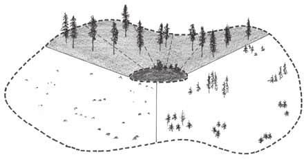 Hele året holder orrhanene seg innenfor en radius på ca. 1,5 km fra leiken, mens orrhønene kan dra noe lenger vekk.